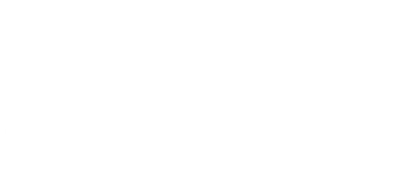 Logo Shinok